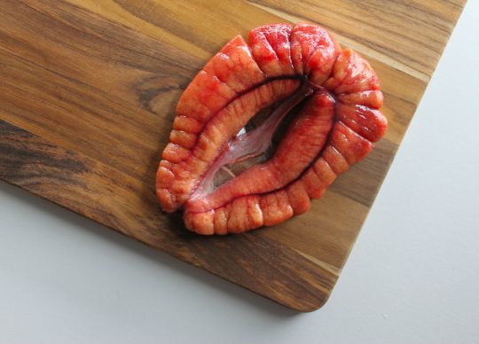 Shad Roe: What is it?