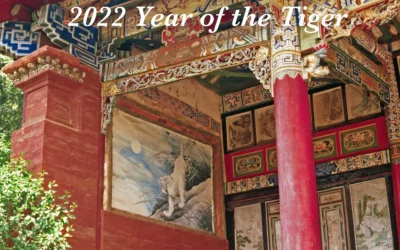 Year of the Tiger, Chinese New Year 2022