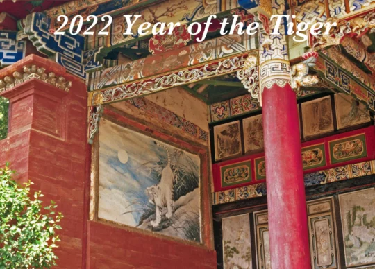 Year of the Tiger, Chinese New Year 2022